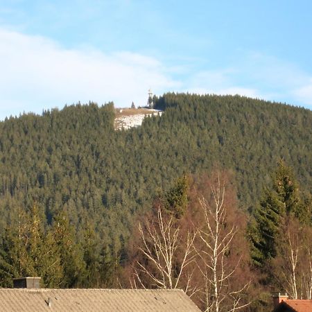 Gaestehaus Birke Hotel Titisee-Neustadt Exterior photo